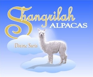 Shangrilah Alpacas Logo